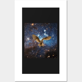 Space Owl Posters and Art